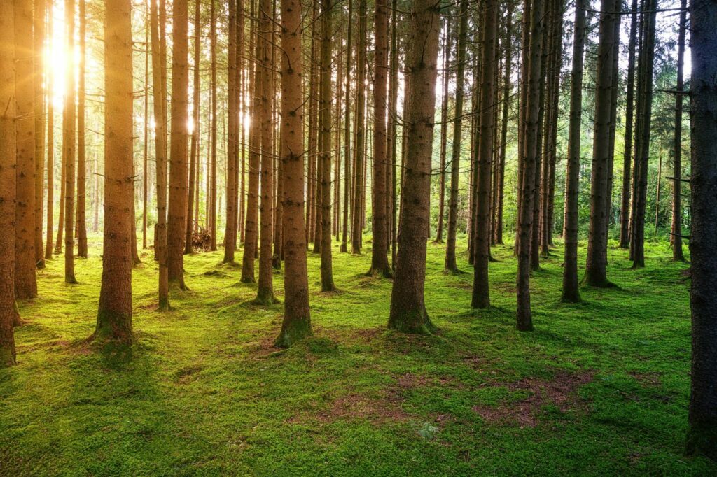 Kadunkalusteiden ympäristöystävällisyys ja BREEAM ovat tärkeässä roolissa liikennesuunnittelussa ja kaupunkisuunnittelussa.